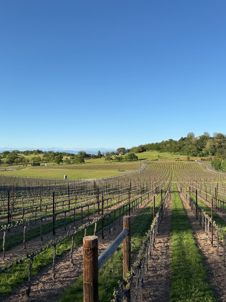 Agronomist walking orchard rows in California
